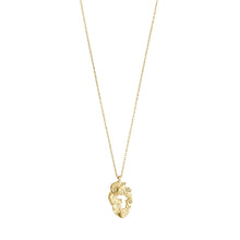 Load image into Gallery viewer, Quinn Organic Shaped Pendant - Gold
