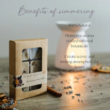 Load image into Gallery viewer, Be Serene Simmer Melt