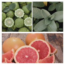 Load image into Gallery viewer, Be Uplifted Simmer Mist Linen & Room Spray