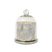 Load image into Gallery viewer, Silver Amber Spruce Cloche Candle - Large