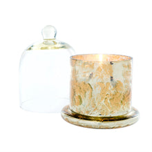 Load image into Gallery viewer, Gold Amber Spruce Cloche Candle - Large