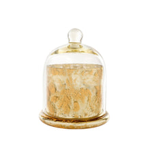 Load image into Gallery viewer, Gold Amber Spruce Cloche Candle - Large
