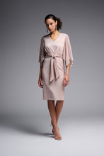 Load image into Gallery viewer, Blush Sleeved Dress