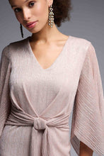 Load image into Gallery viewer, Blush Sleeved Dress