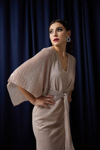 Load image into Gallery viewer, Blush Sleeved Dress