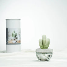 Load image into Gallery viewer, Saguaro Cactus Ceramic Diffuser Gift Set
