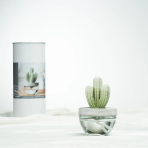 Saguaro Cactus Ceramic Diffuser Gift Set