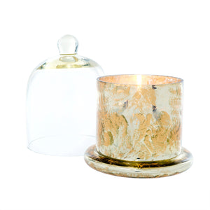 Gold Amber Spruce Cloche Candle - Large