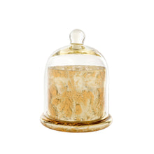 Load image into Gallery viewer, Gold Amber Spruce Cloche Candle - Large
