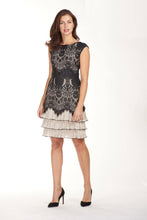 Load image into Gallery viewer, Lace Overlay Dress
