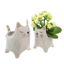 Load image into Gallery viewer, Here Kitty Pot - Small
