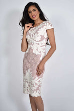 Load image into Gallery viewer, Blush Applique Dress
