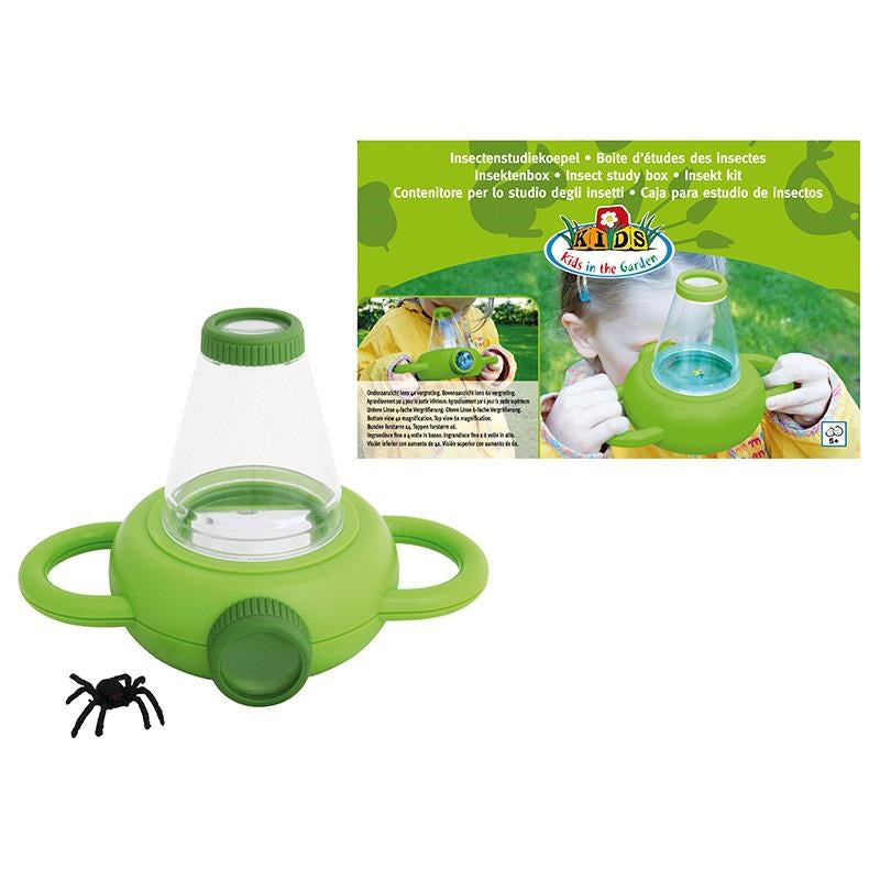 Insect Study Box – Butterfly Boutique