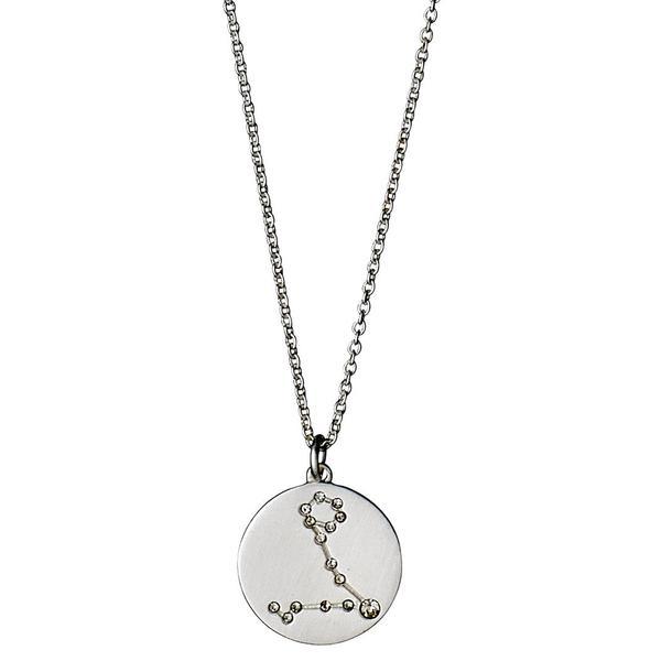 Pisces Star Sign Necklace